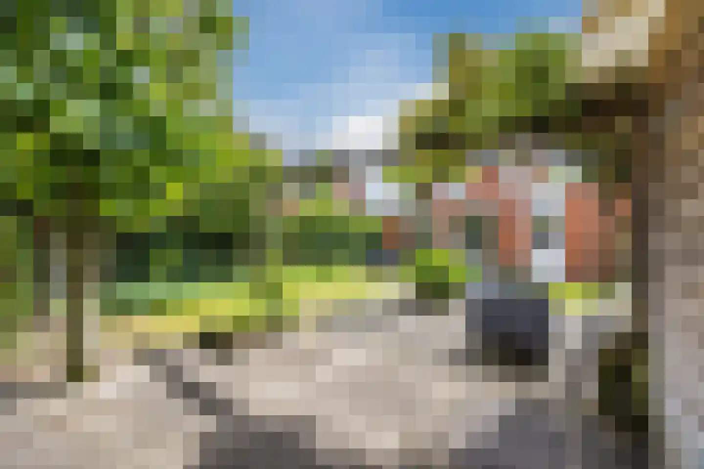 Harlekijnvlinder 18 Oosterhout thumbnail 40
