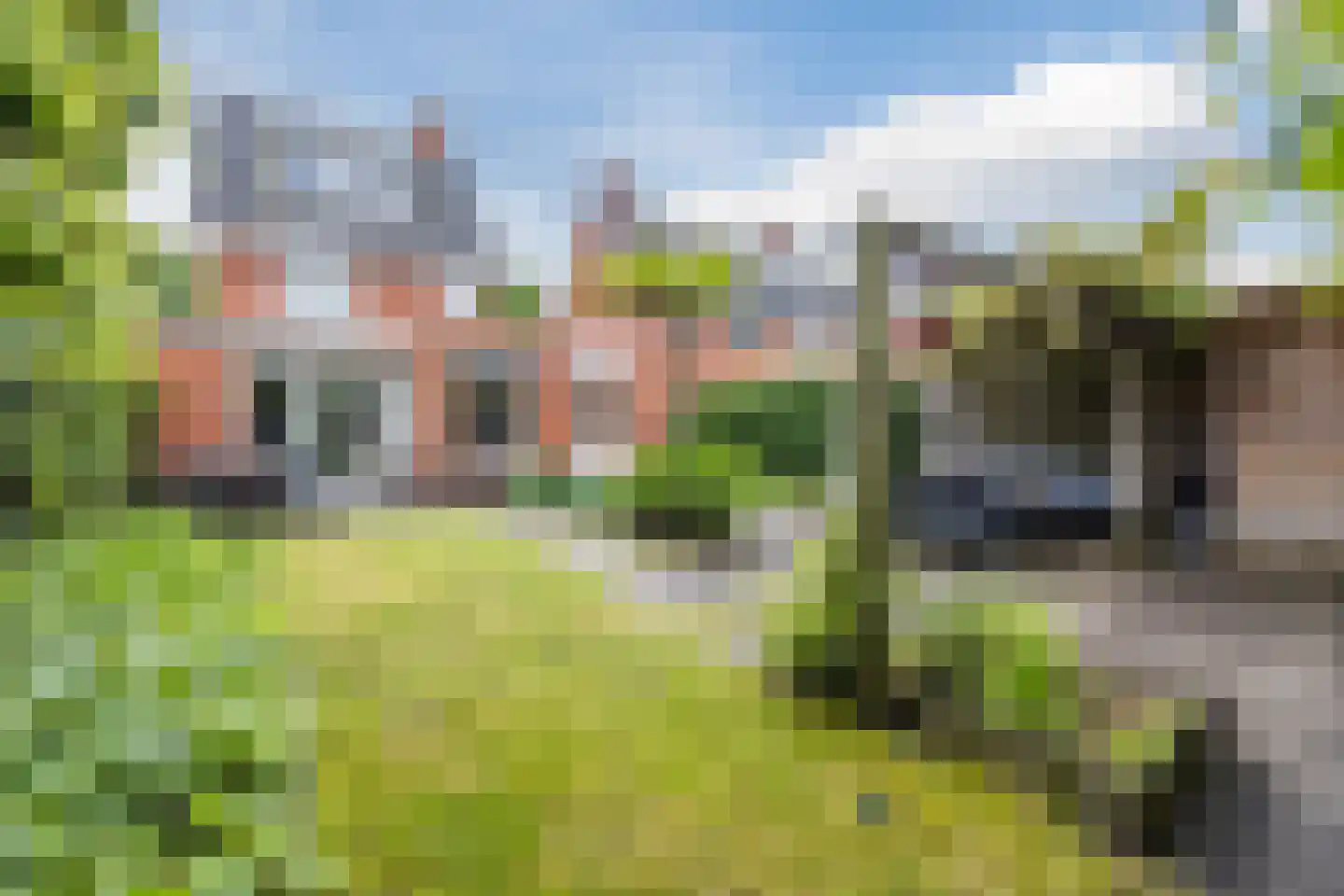 Harlekijnvlinder 18 Oosterhout thumbnail 41