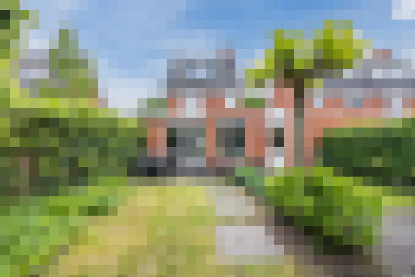 Harlekijnvlinder 18 Oosterhout thumbnail 42