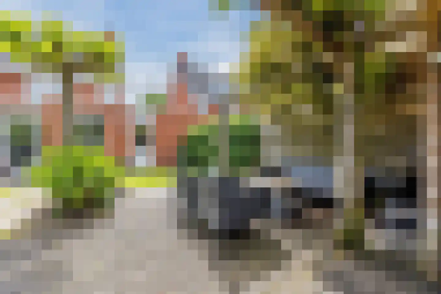 Harlekijnvlinder 18 Oosterhout thumbnail 44