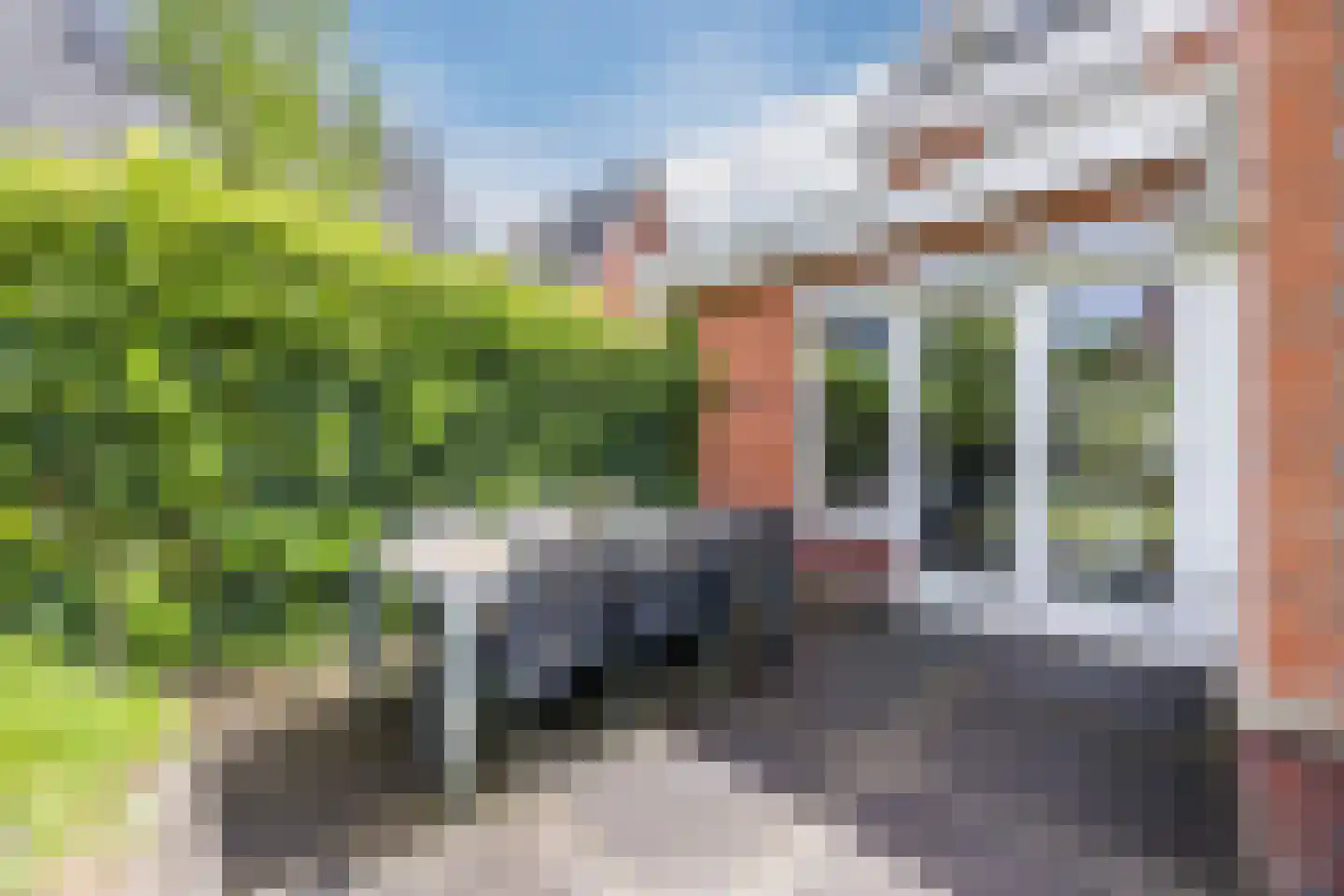 Harlekijnvlinder 18 Oosterhout thumbnail 45
