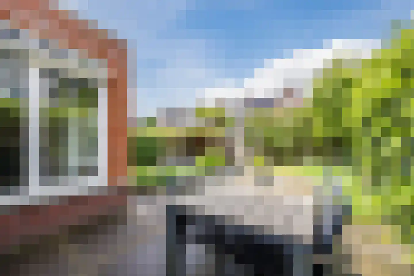 Harlekijnvlinder 18 Oosterhout thumbnail 46