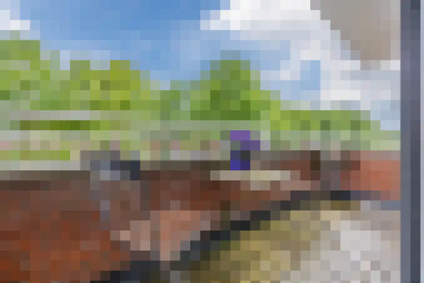 Harlekijnvlinder 18 Oosterhout thumbnail 47