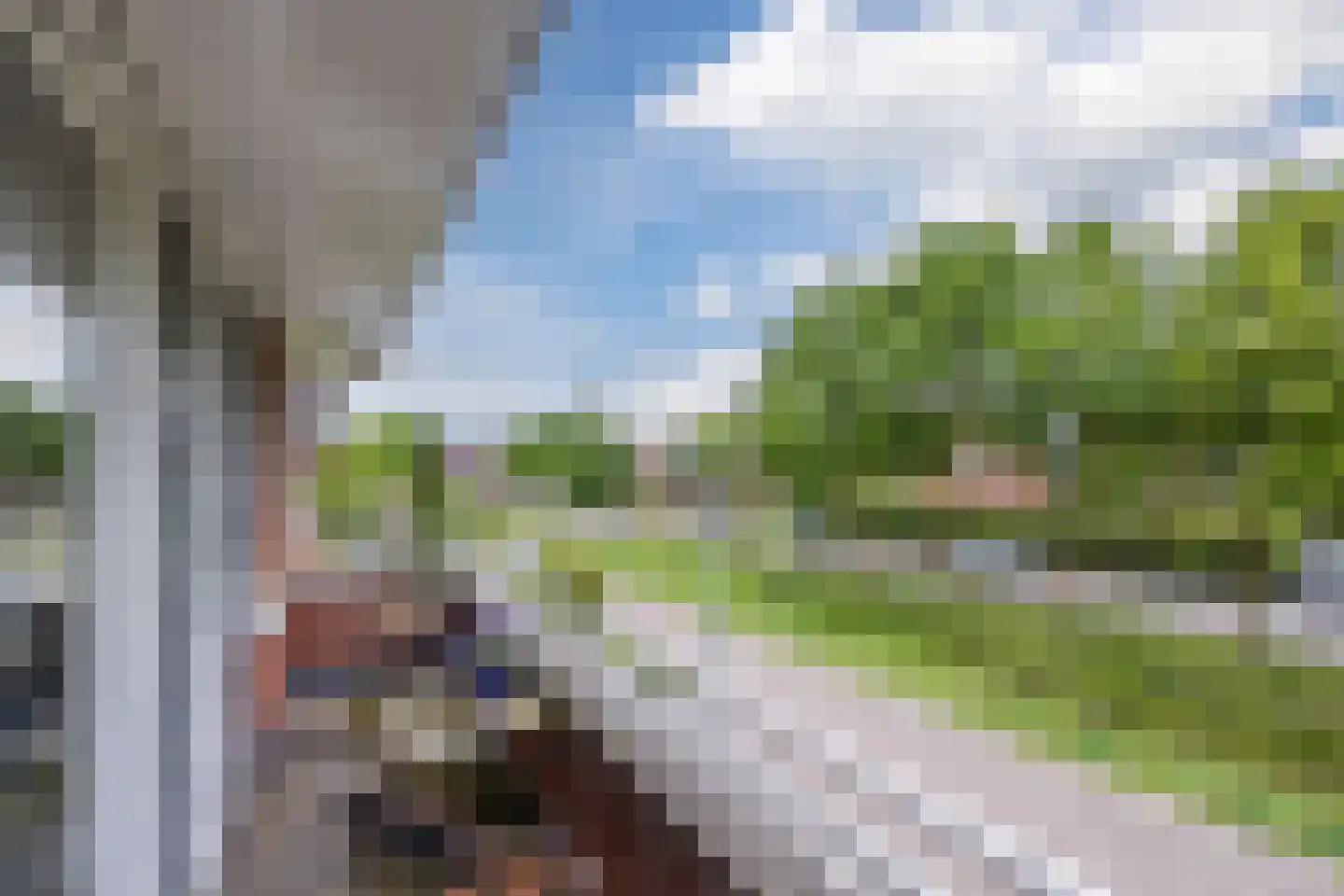 Harlekijnvlinder 18 Oosterhout thumbnail 48