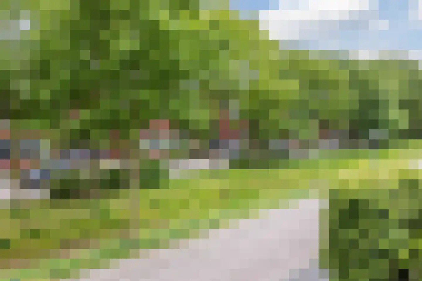 Harlekijnvlinder 18 Oosterhout thumbnail 50