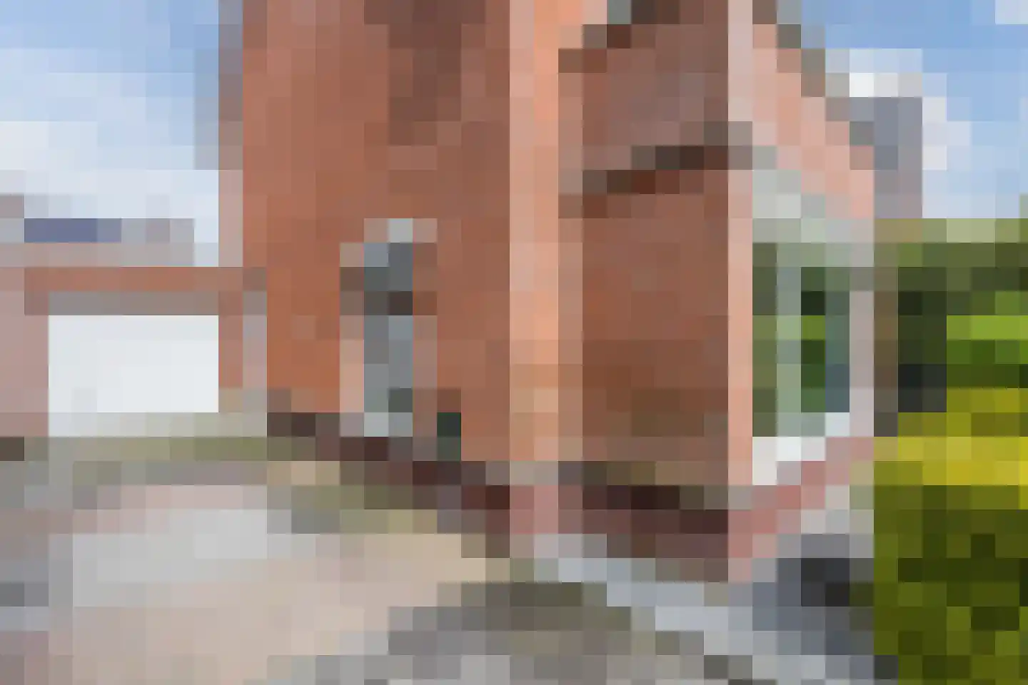 Harlekijnvlinder 18 Oosterhout thumbnail 51