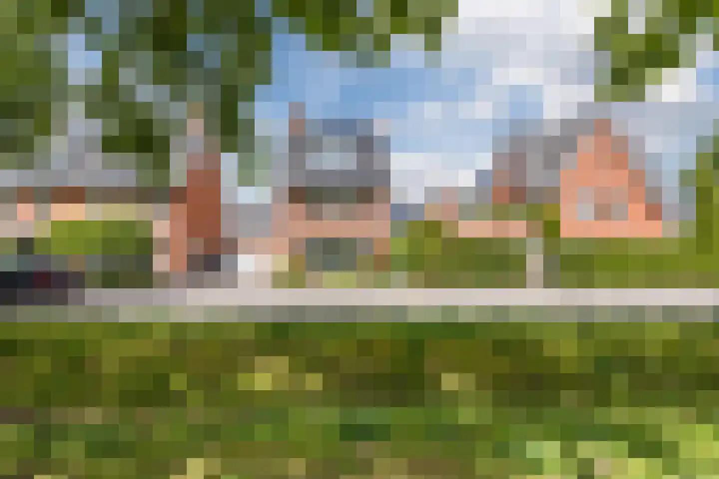 Harlekijnvlinder 18 Oosterhout thumbnail 52