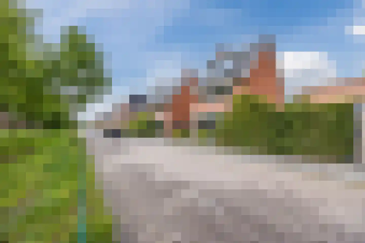 Harlekijnvlinder 18 Oosterhout thumbnail 53
