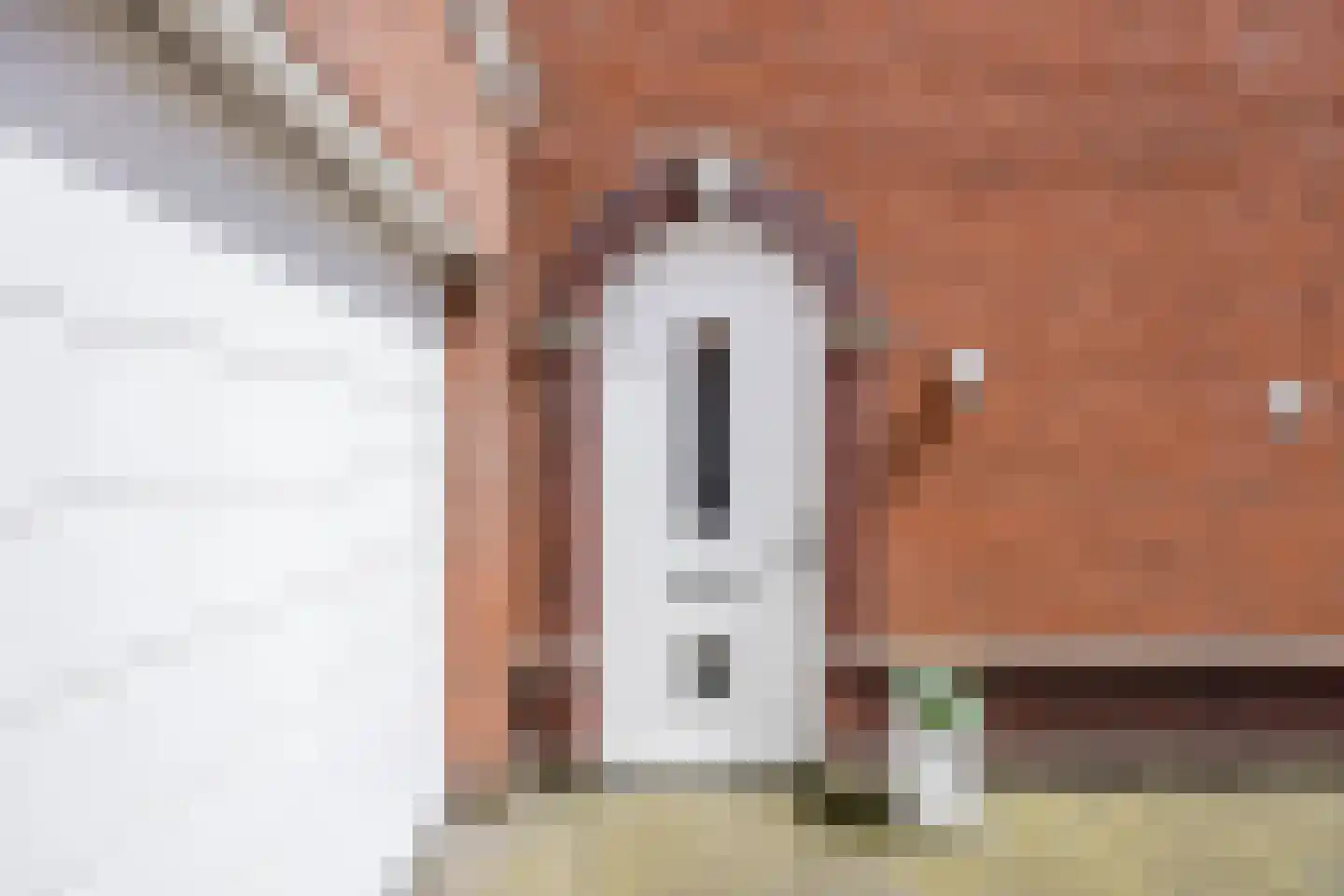 Harlekijnvlinder 18 Oosterhout thumbnail 54