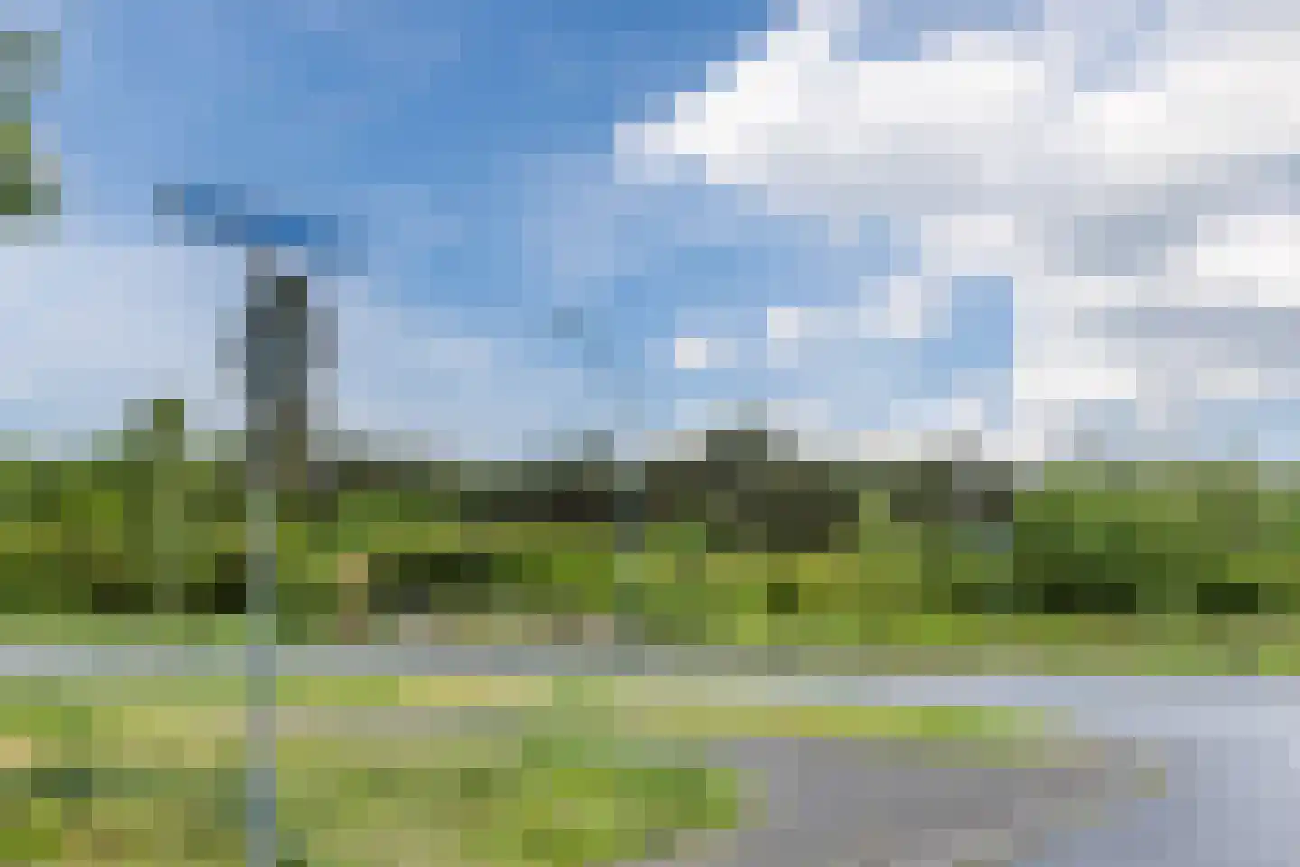 Harlekijnvlinder 18 Oosterhout thumbnail 55