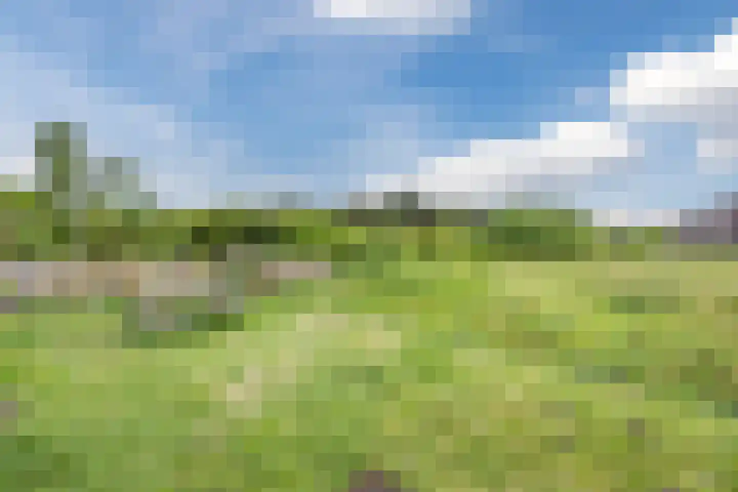 Harlekijnvlinder 18 Oosterhout thumbnail 57