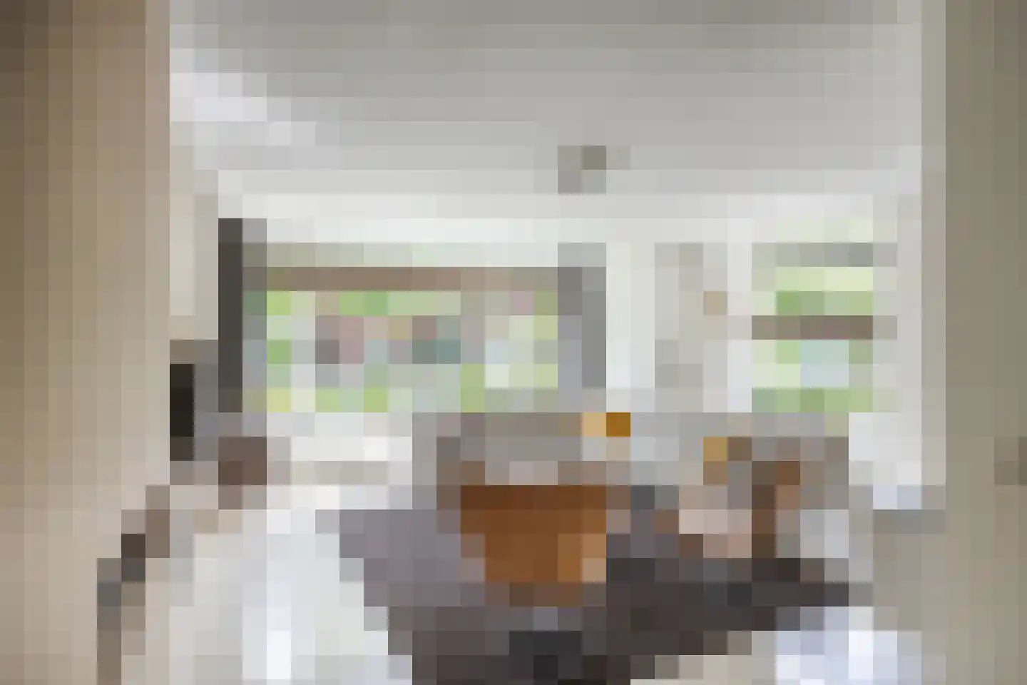 Harlekijnvlinder 18 Oosterhout thumbnail 6