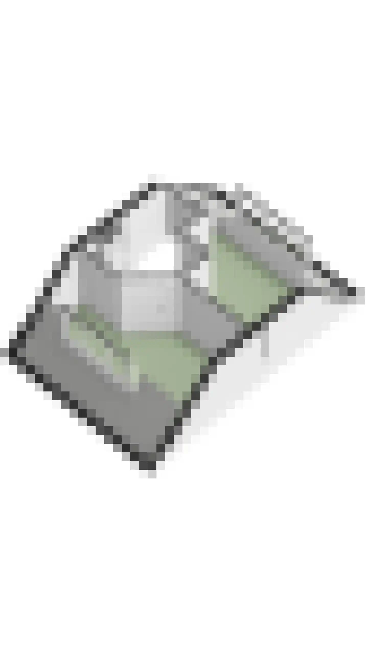 Harlekijnvlinder 18 Oosterhout thumbnail 66