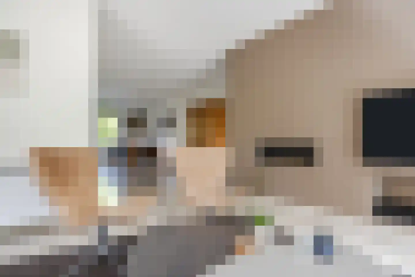 Harlekijnvlinder 18 Oosterhout thumbnail 7