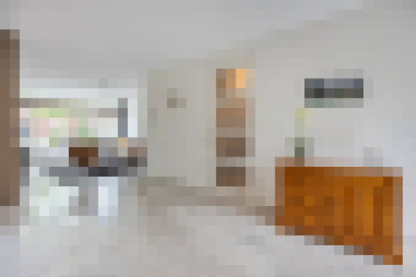 Harlekijnvlinder 18 Oosterhout thumbnail 8