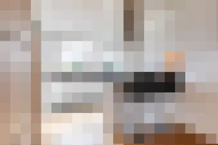 Harlekijnvlinder 62 Oosterhout thumbnail 13
