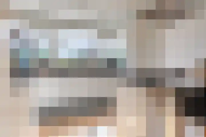 Harlekijnvlinder 62 Oosterhout thumbnail 4