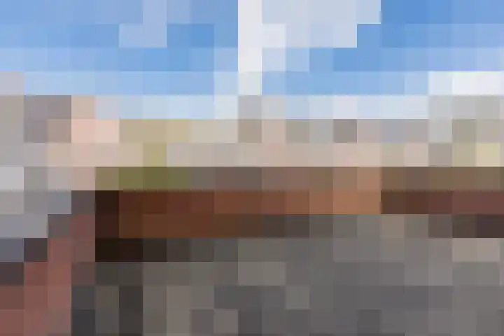 Harlekijnvlinder 62 Oosterhout thumbnail 41