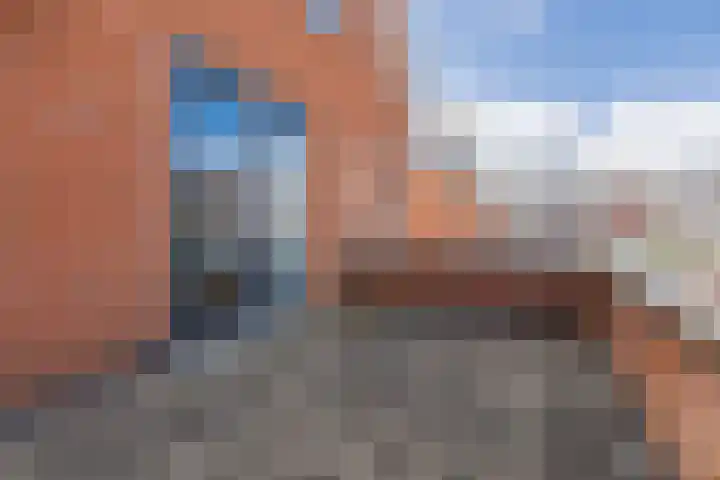 Harlekijnvlinder 62 Oosterhout thumbnail 42