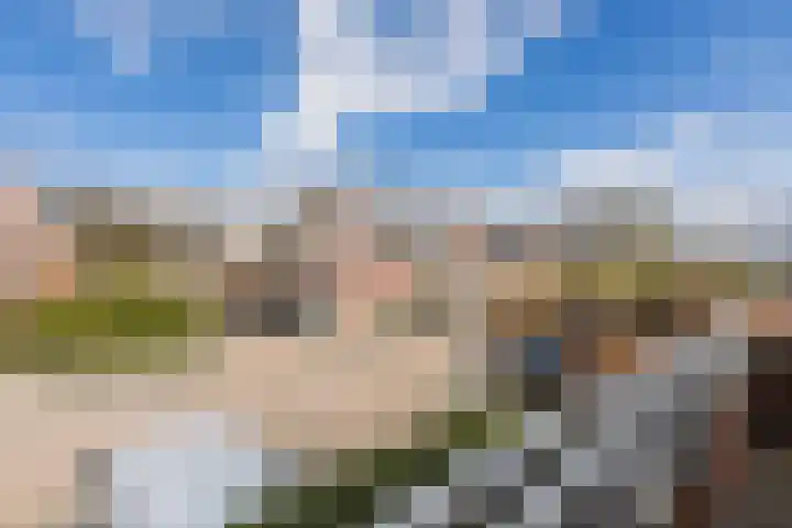Harlekijnvlinder 62 Oosterhout thumbnail 43