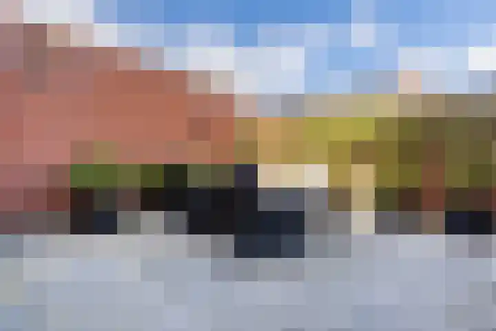 Harlekijnvlinder 62 Oosterhout thumbnail 45