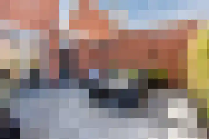 Harlekijnvlinder 62 Oosterhout thumbnail 47