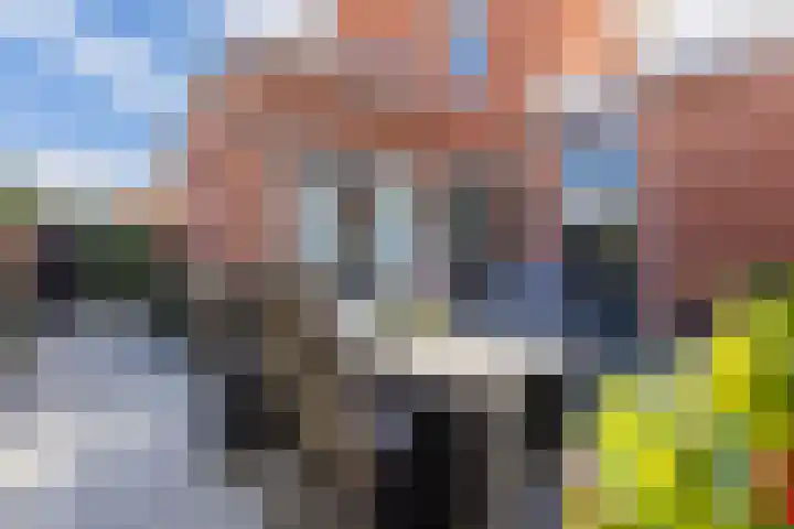 Harlekijnvlinder 62 Oosterhout thumbnail 5