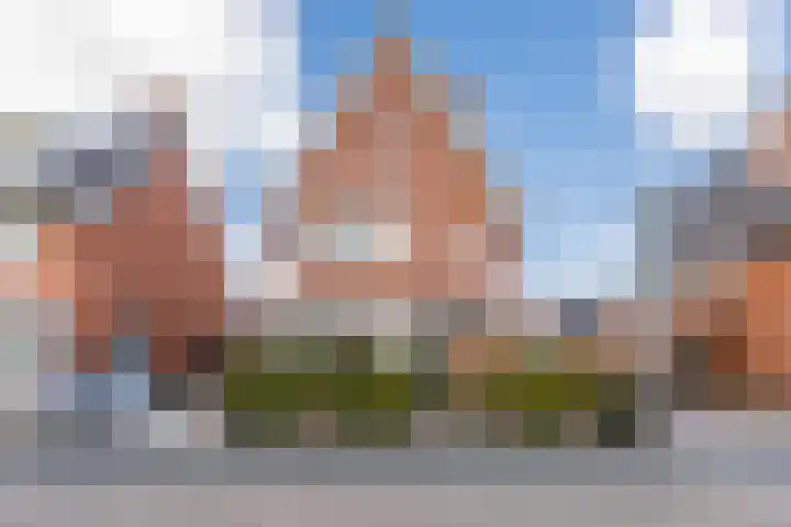 Harlekijnvlinder 62 Oosterhout thumbnail 51