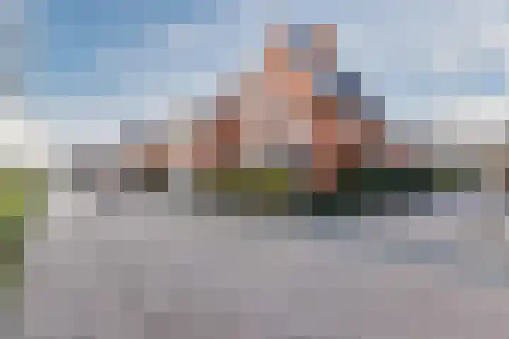 Harlekijnvlinder 62 Oosterhout thumbnail 52