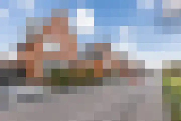Harlekijnvlinder 62 Oosterhout thumbnail 53