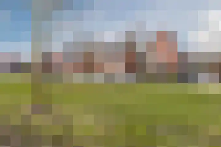 Harlekijnvlinder 62 Oosterhout thumbnail 55