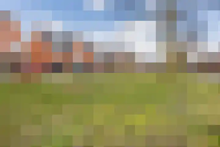 Harlekijnvlinder 62 Oosterhout thumbnail 56