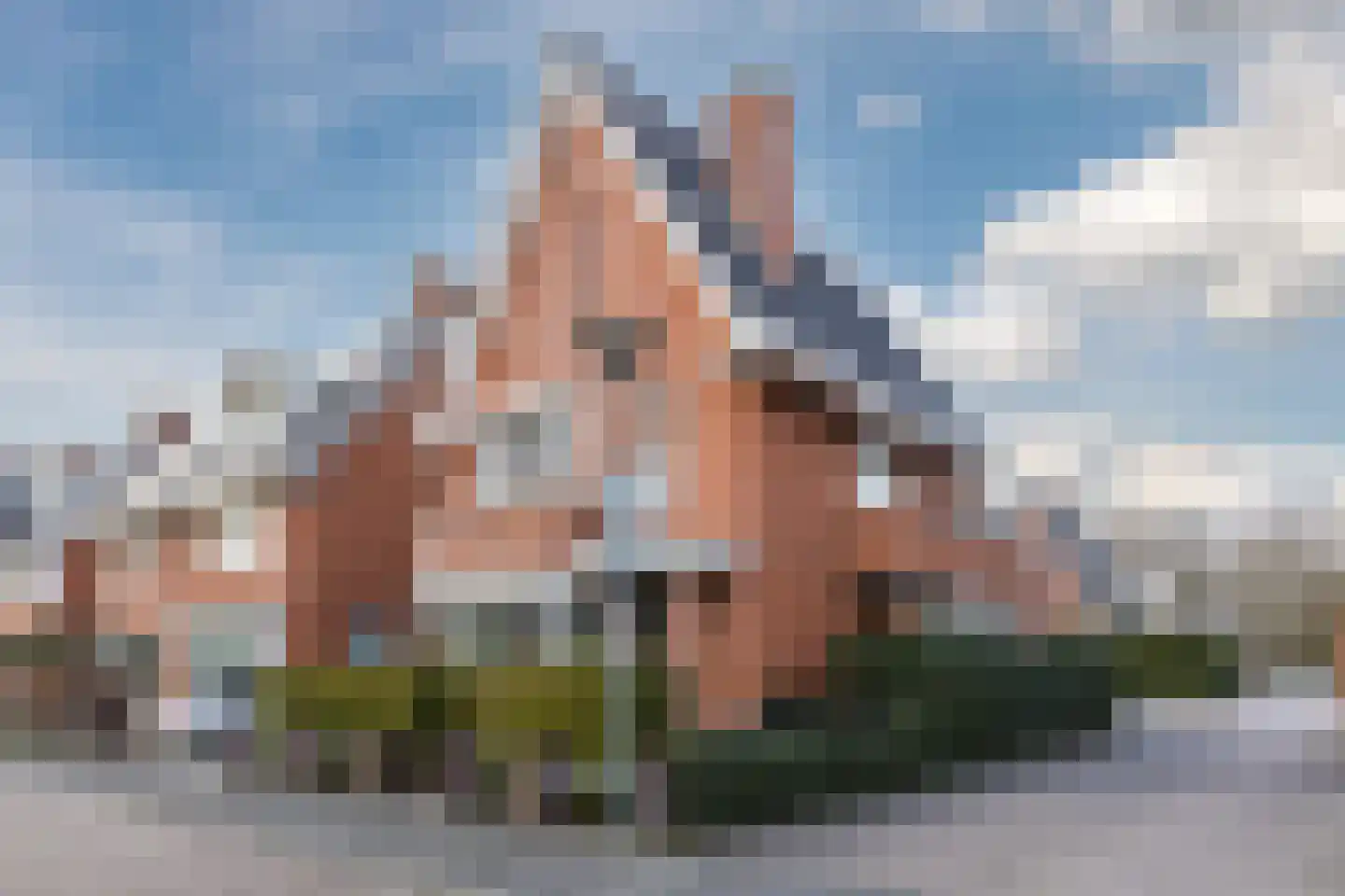 Harlekijnvlinder 62 Oosterhout thumbnail 57