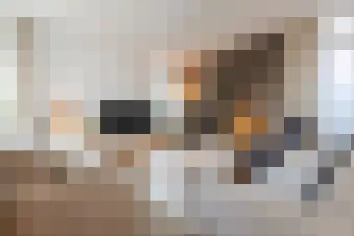 Harlekijnvlinder 62 Oosterhout thumbnail 7
