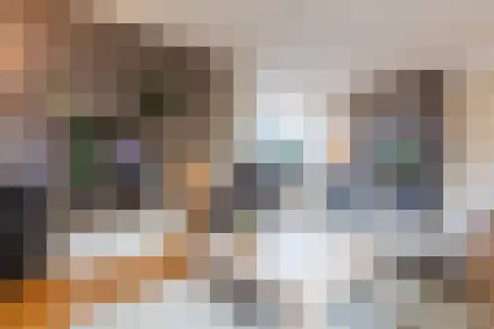 Harlekijnvlinder 62 Oosterhout thumbnail 8