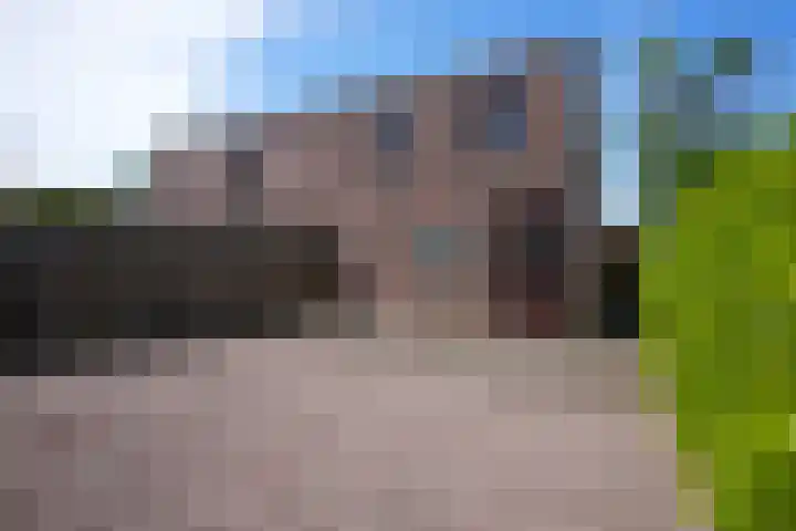 Harles 21 a Vijlen thumbnail 20