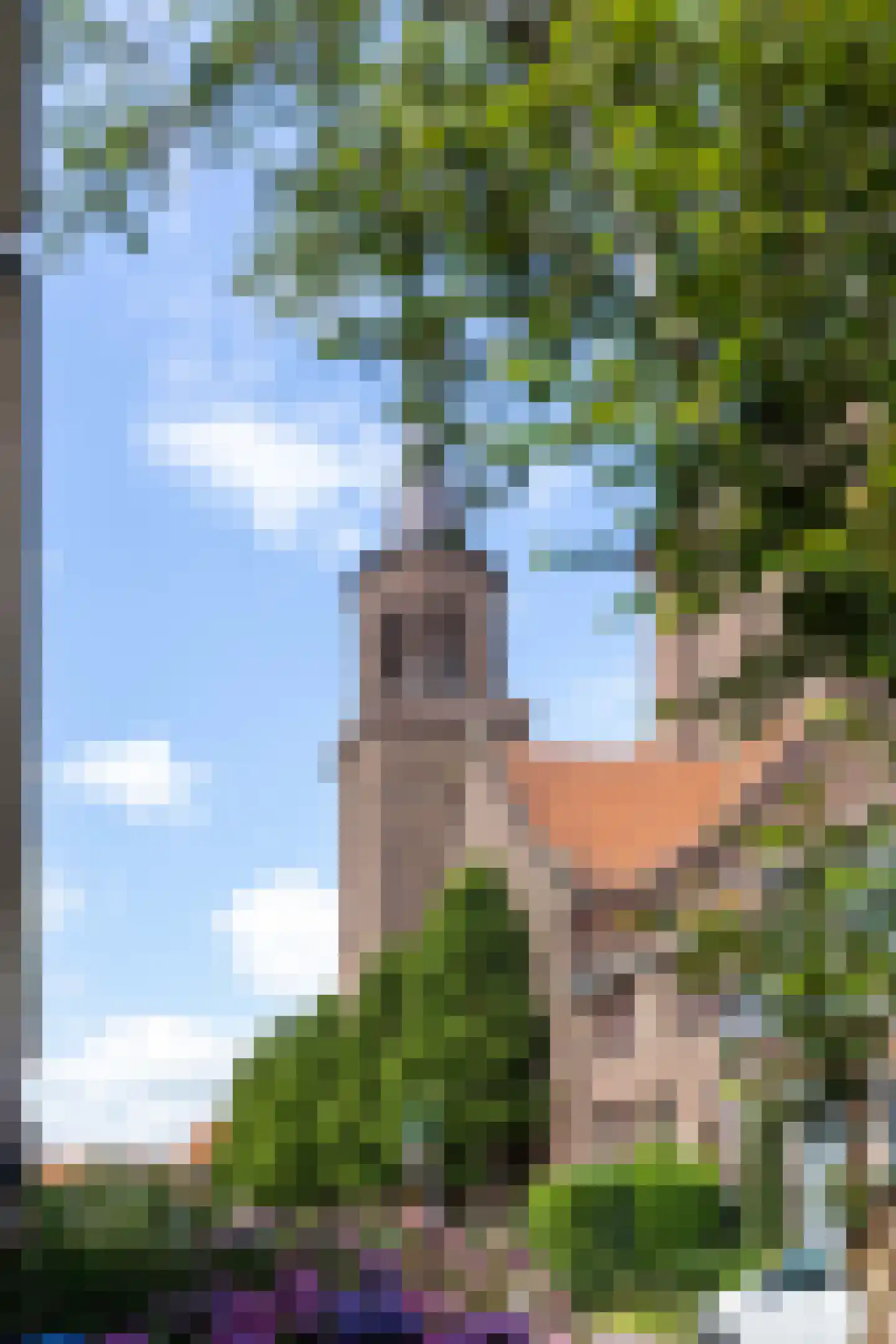 Harlingerstraat 21 Leeuwarden thumbnail 11
