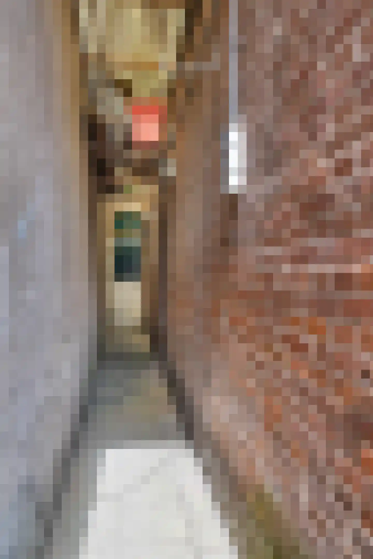 Harlingerstraat 21 Leeuwarden thumbnail 49