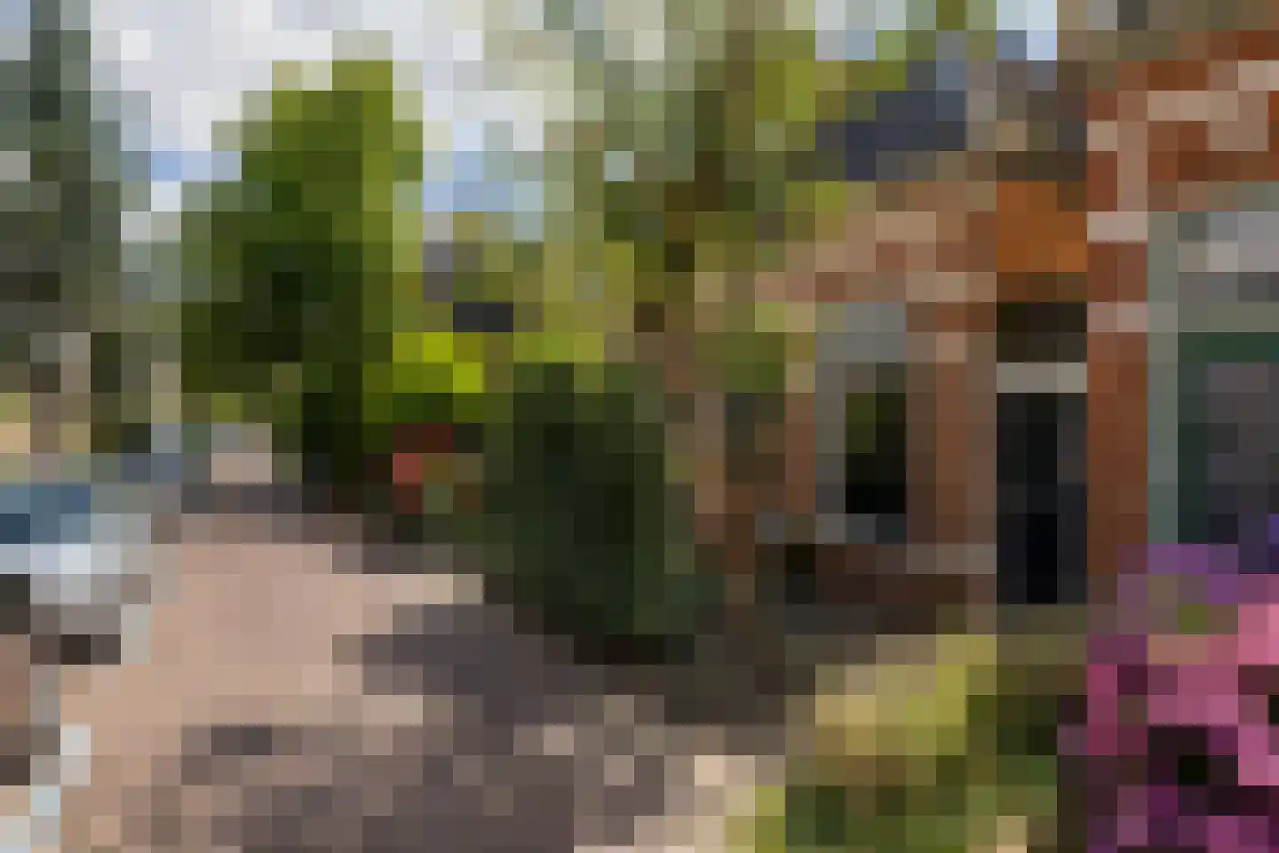 Harlingerstraat 21 Leeuwarden thumbnail 9