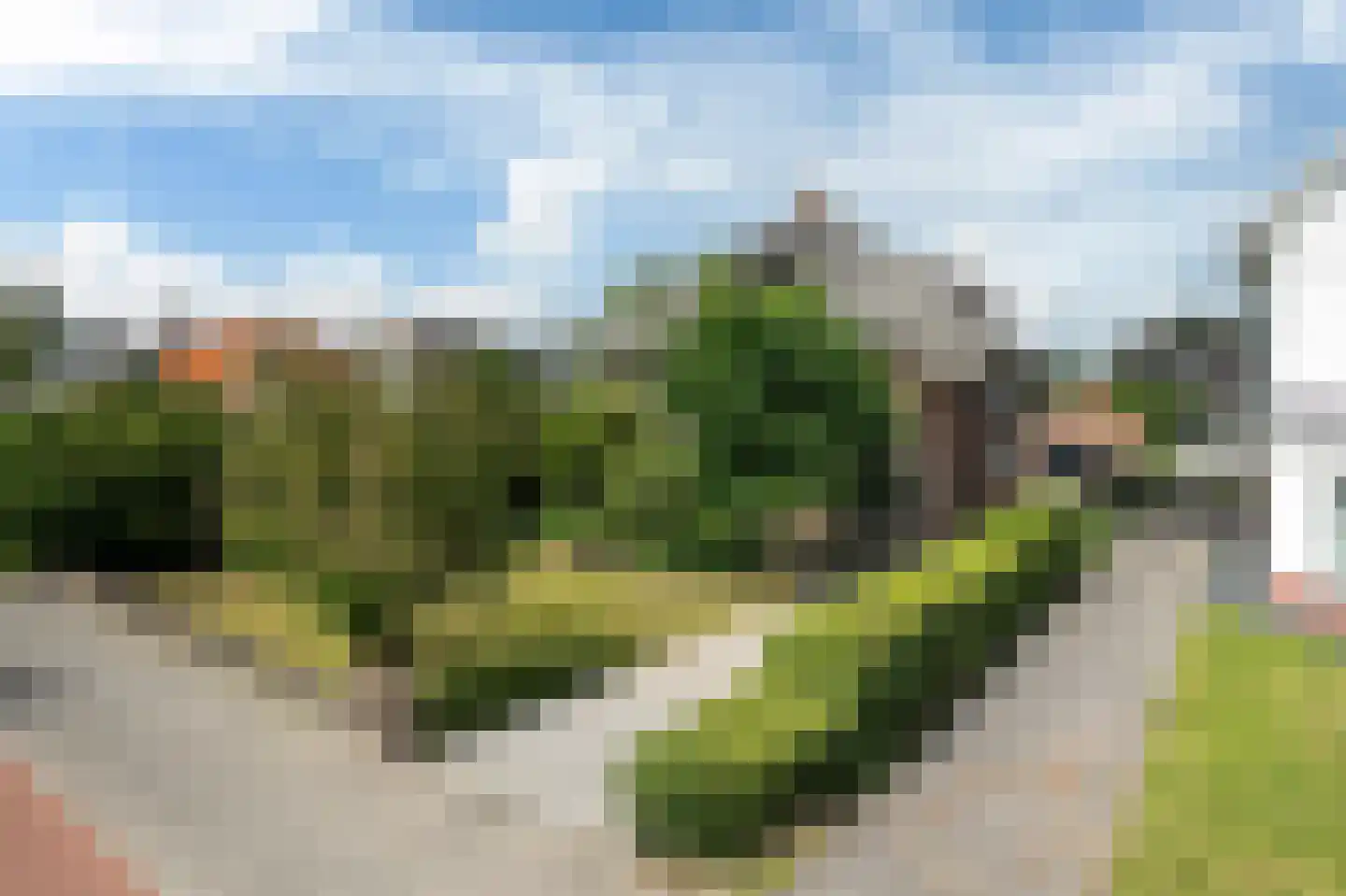 Harlingerstraatweg 18 Leeuwarden thumbnail 6