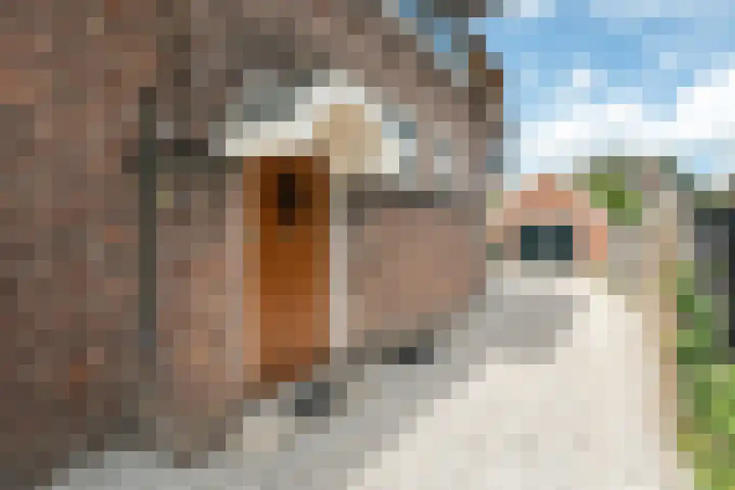 Harlingerstraatweg 18 Leeuwarden thumbnail 7
