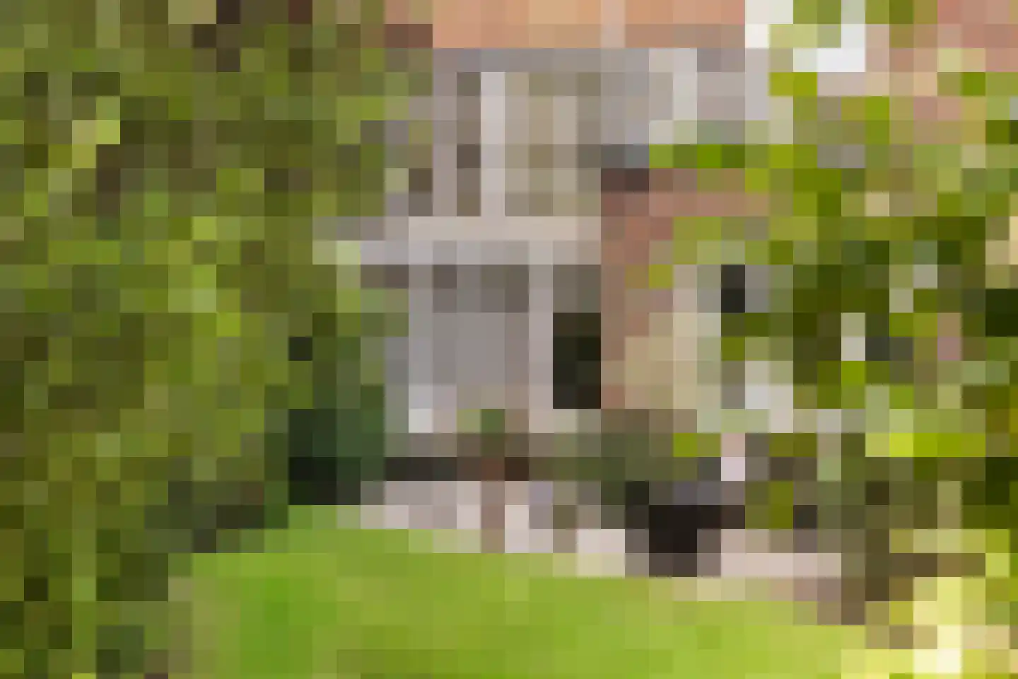 Harlingerstraatweg 2 b Leeuwarden thumbnail 42