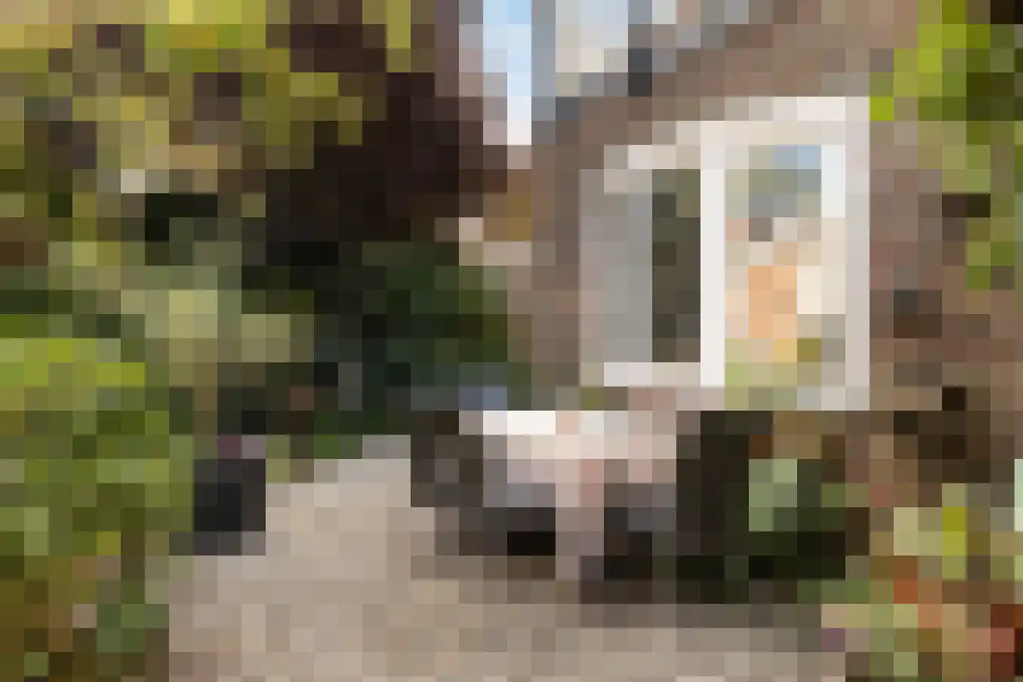 Harlingerstraatweg 2 b Leeuwarden thumbnail 43