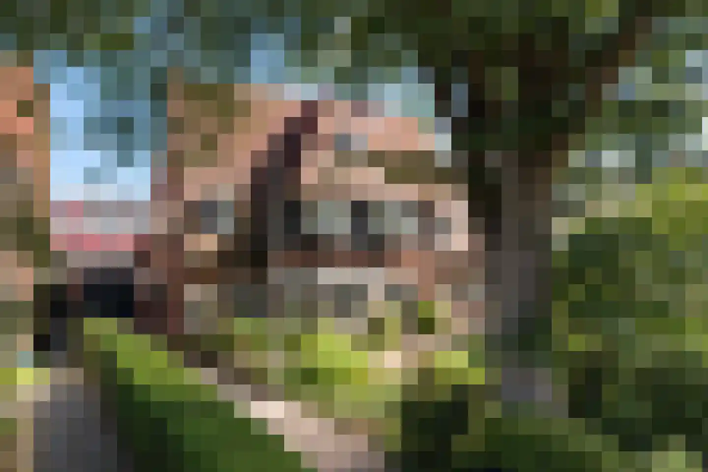 Harlingerstraatweg 2 b Leeuwarden thumbnail 53