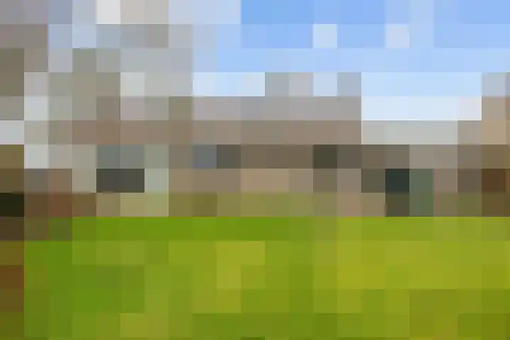 Harlingerstraatweg 51 Midlum thumbnail 46