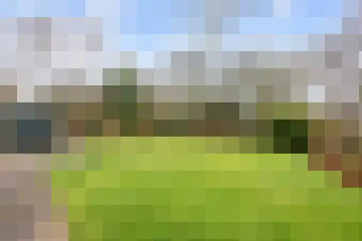 Harlingerstraatweg 51 Midlum thumbnail 50