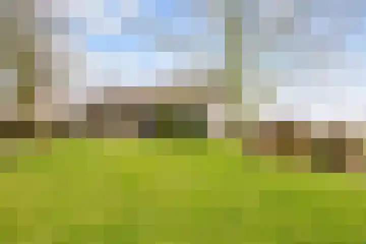Harlingerstraatweg 51 Midlum thumbnail 53