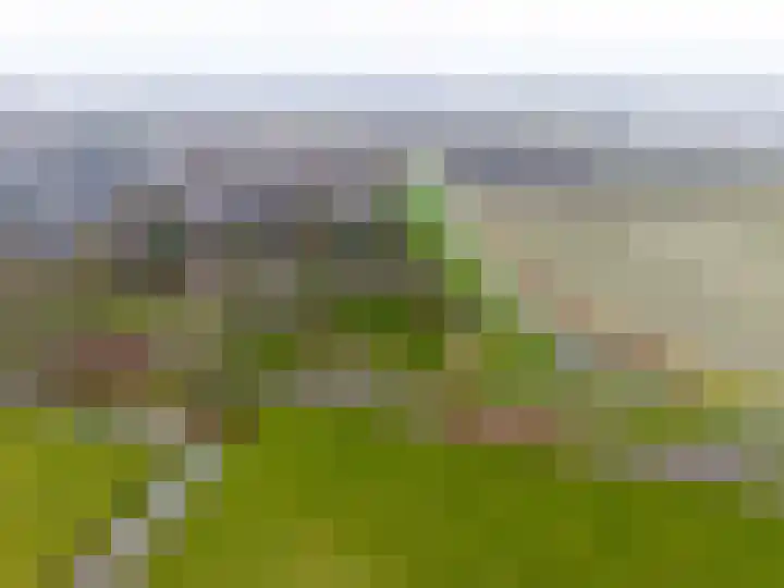 Harlingerstraatweg 51 Midlum thumbnail 7