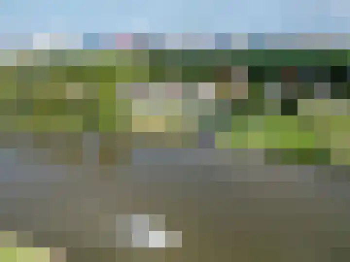Harlingerstraatweg 64 Midlum thumbnail 10