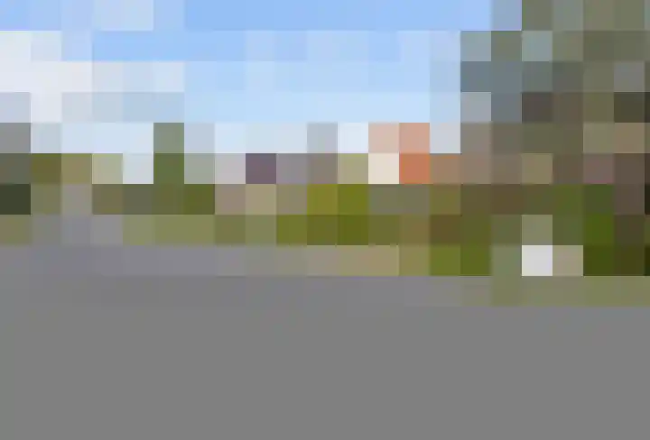 Harlingerstraatweg 64 Midlum thumbnail 14